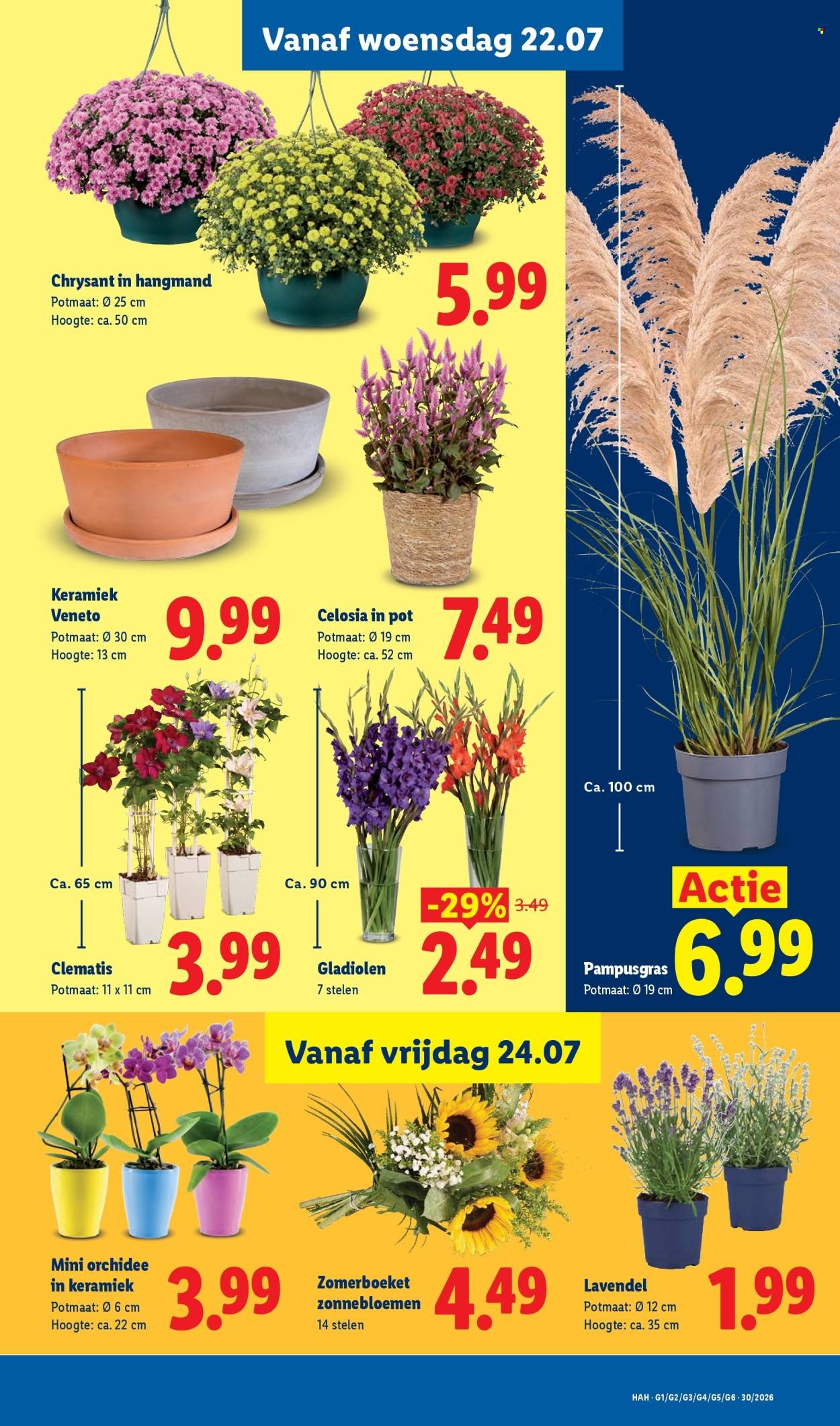 LIDL folder - Week 30