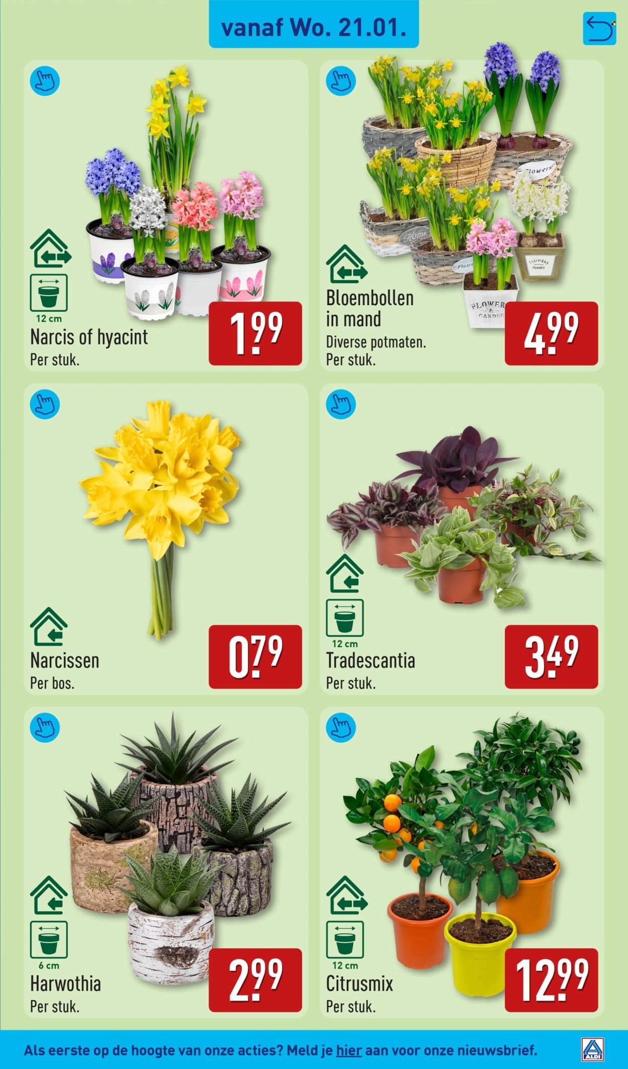 ALDI folder - Van maandag 19 januari 2026