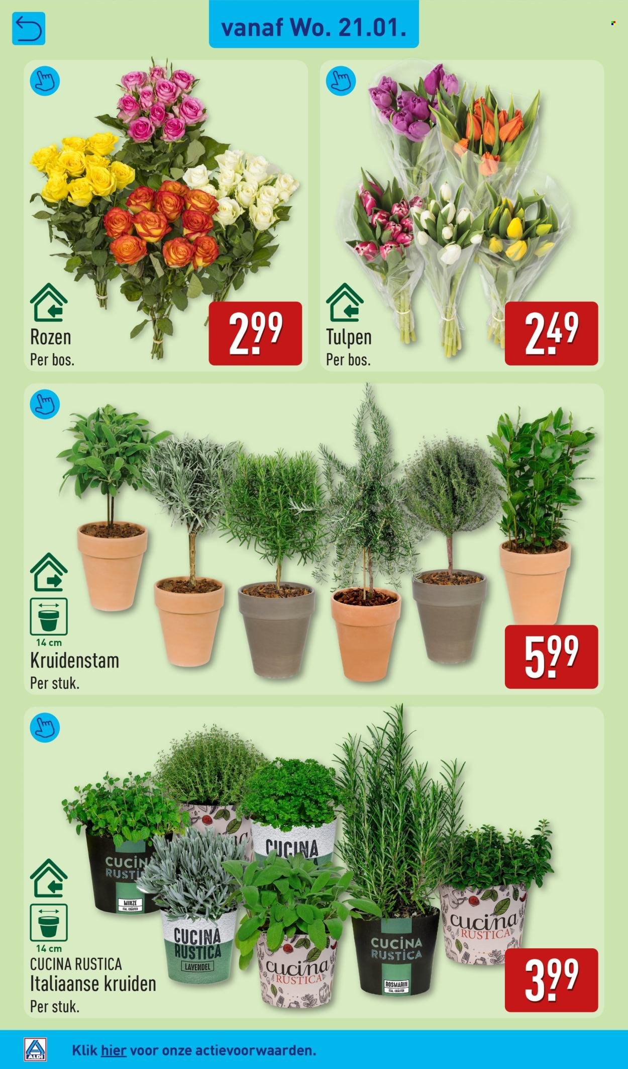 ALDI folder - Van maandag 19 januari 2026