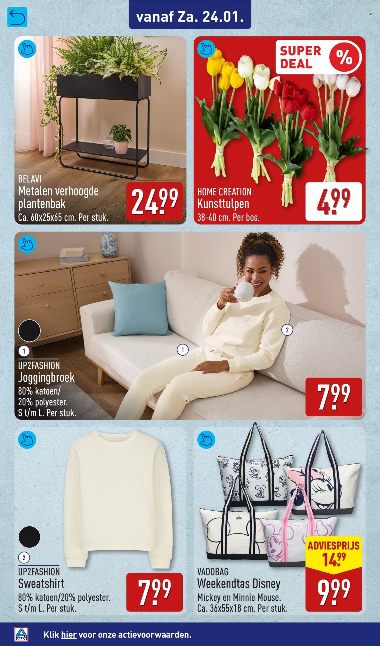 ALDI folder - Van maandag 19 januari 2026