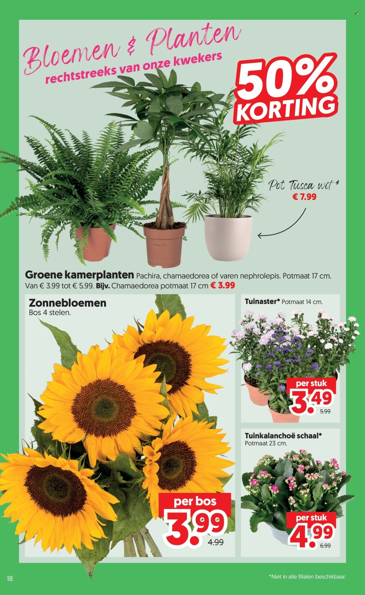 DEKAMARKT folder - Van dinsdag 4 augustus 2026