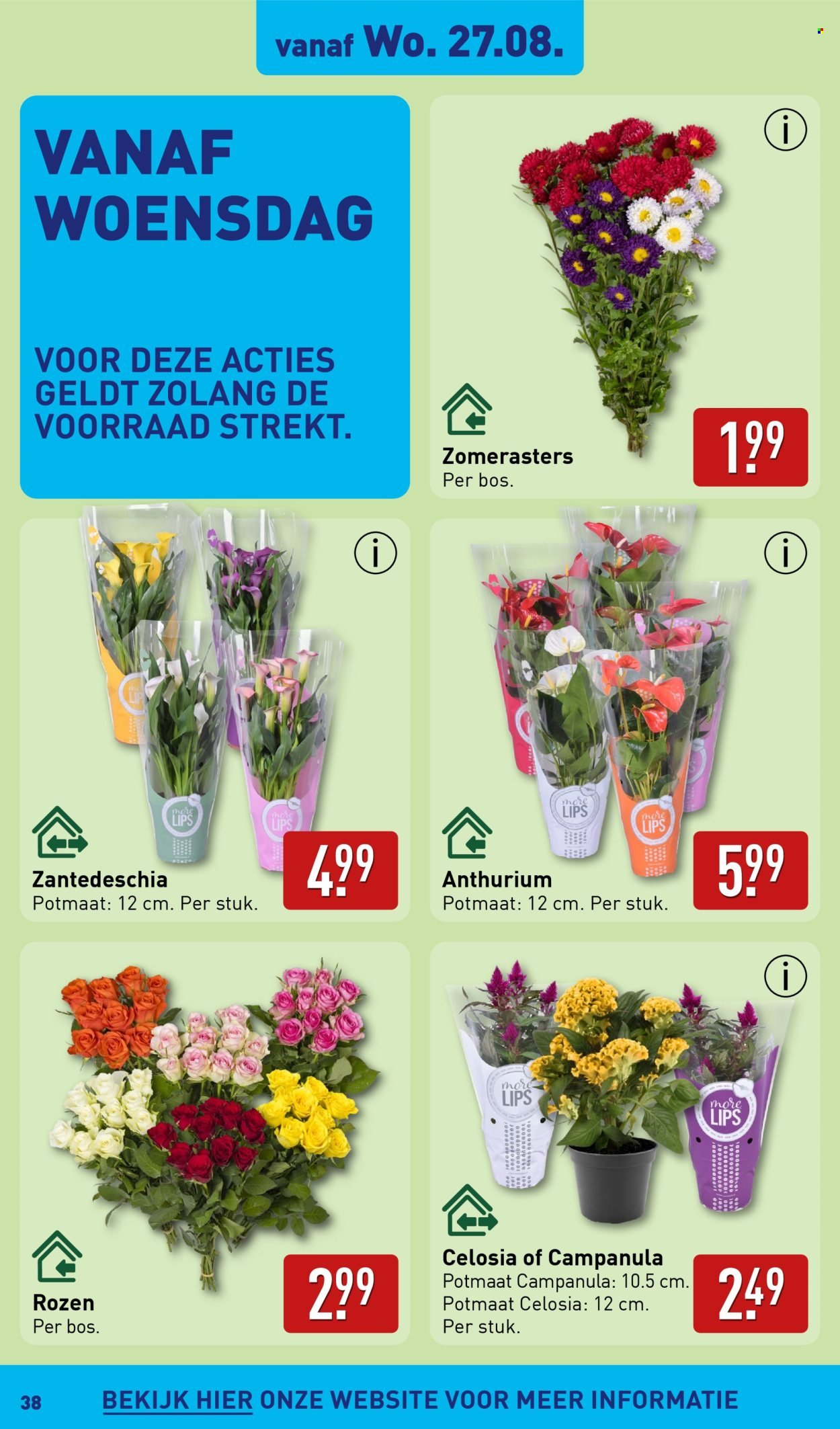 ALDI folder - Van maandag 25 augustus 2025 (2025-08-25 - 2025-08-31)