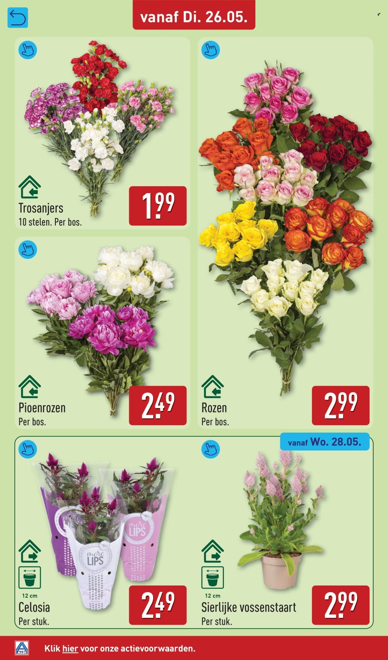 ALDI folder - Van dinsdag 26 mei 2026