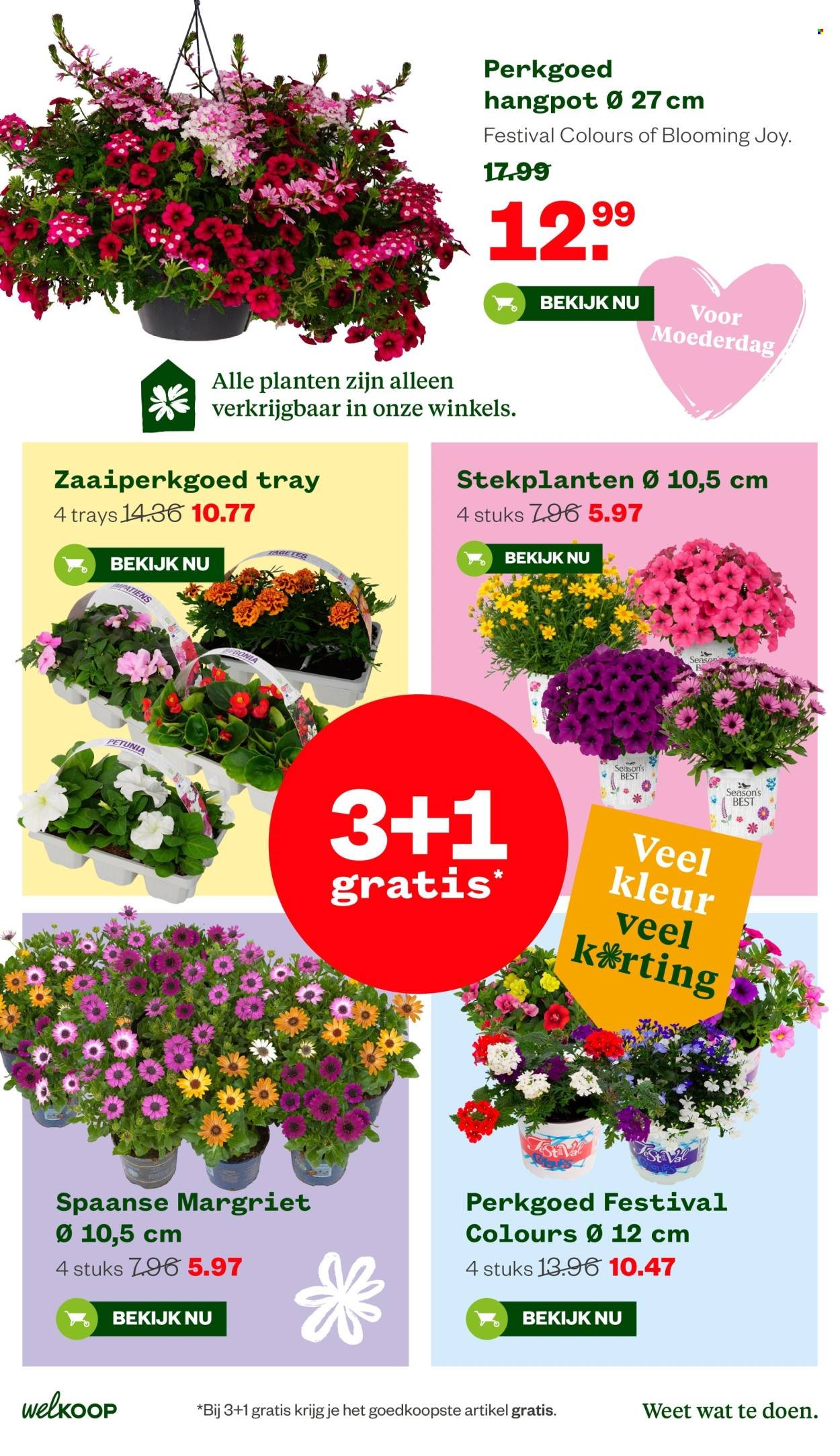 WELKOOP folder - Van maandag 27 april 2026