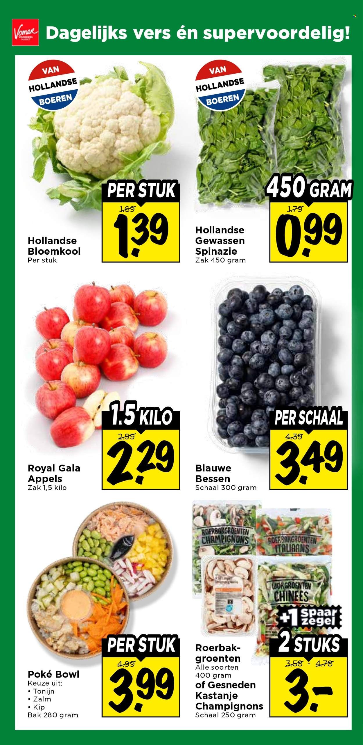 VOMAR folder - Van donderdag 15 oktober 2026