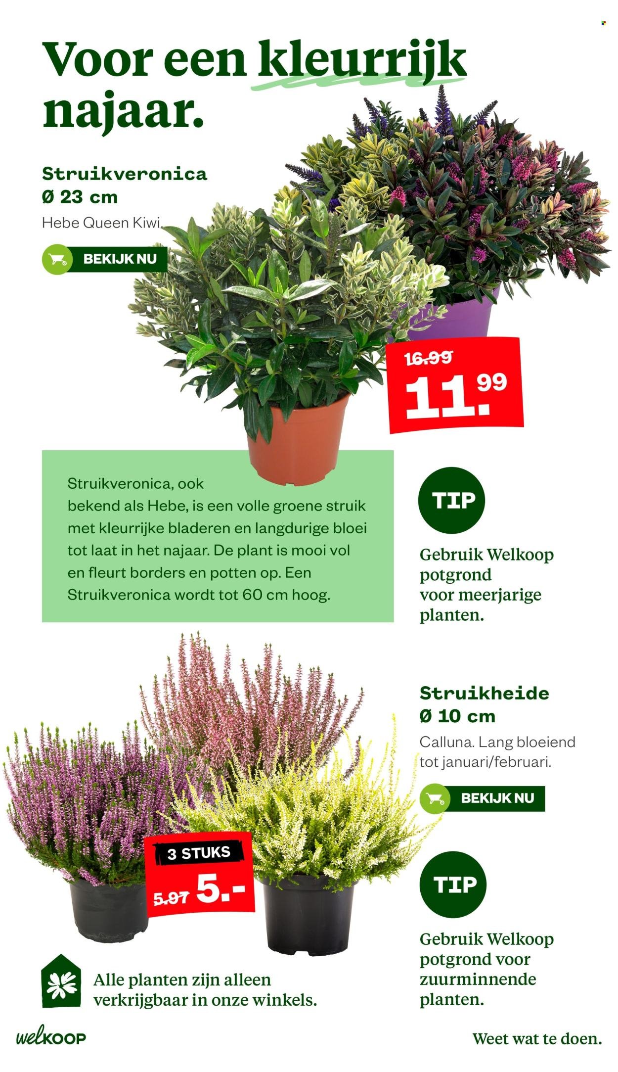 WELKOOP folder - Van maandag 24 augustus 2026