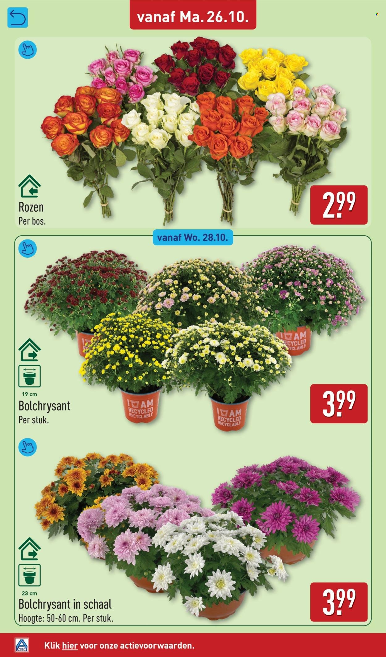 ALDI folder - Van maandag 26 oktober 2026