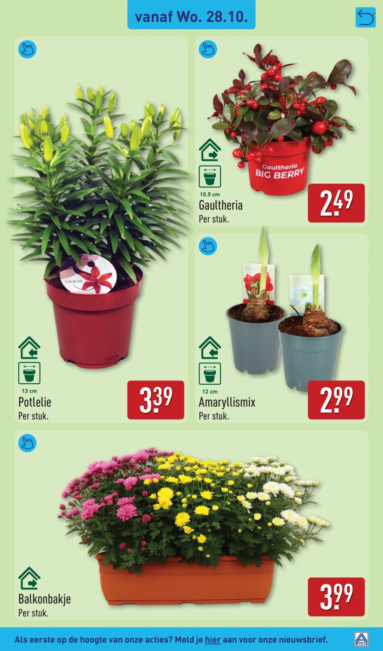 ALDI folder - Van maandag 26 oktober 2026