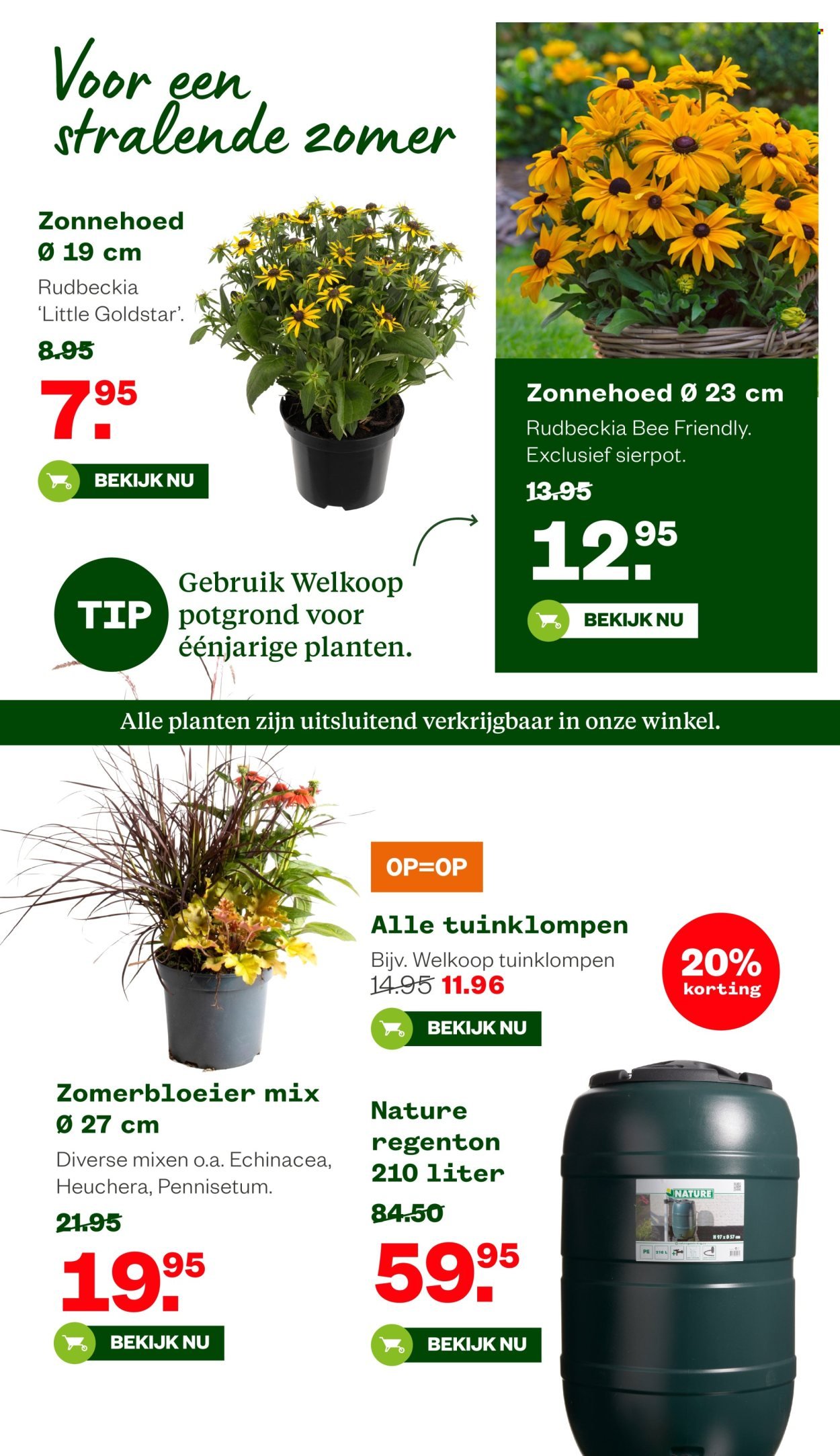 WELKOOP folder - Van maandag 4 augustus 2025 (2025-08-04 - 2025-08-24)