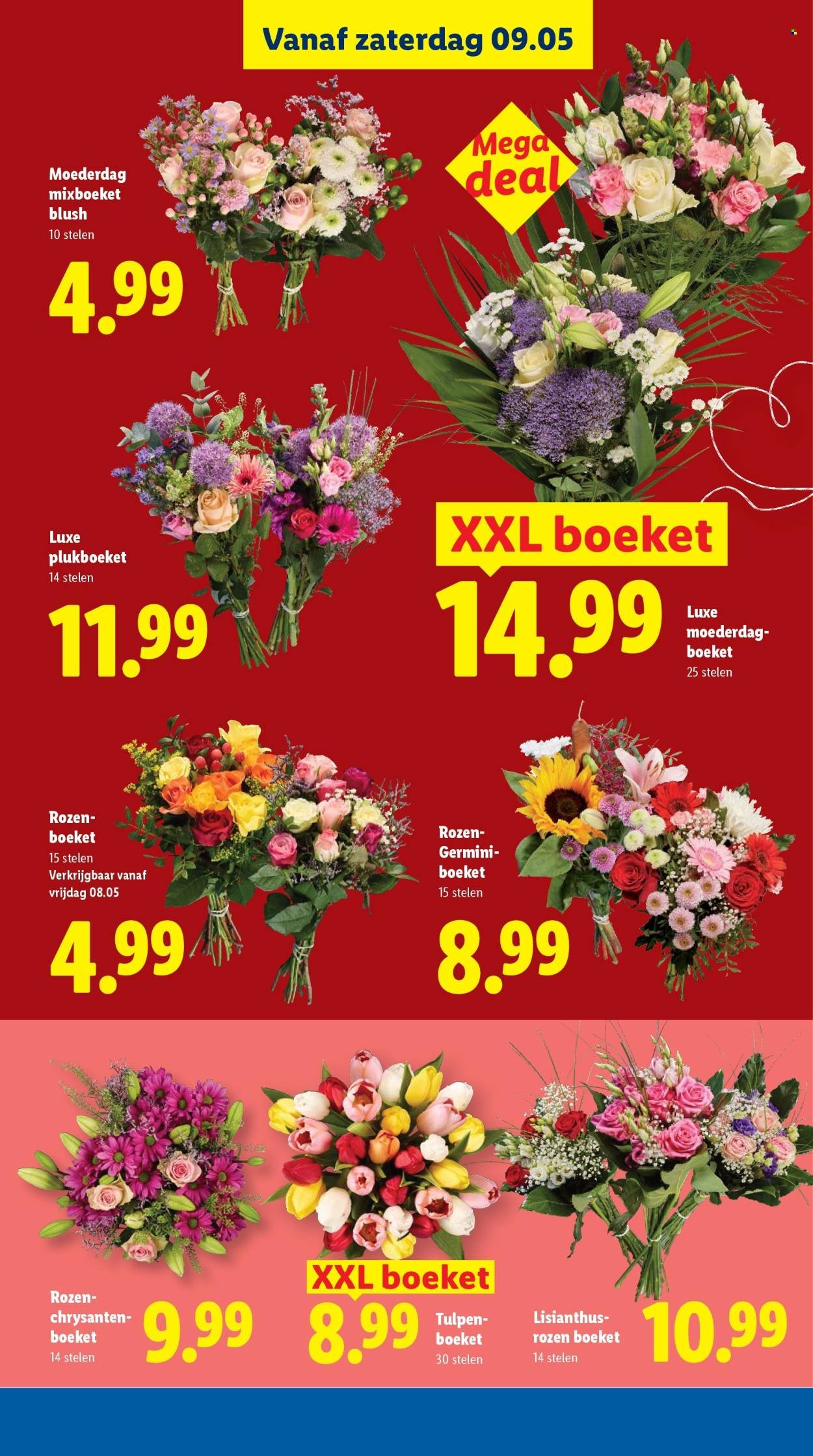 LIDL folder - Week 19