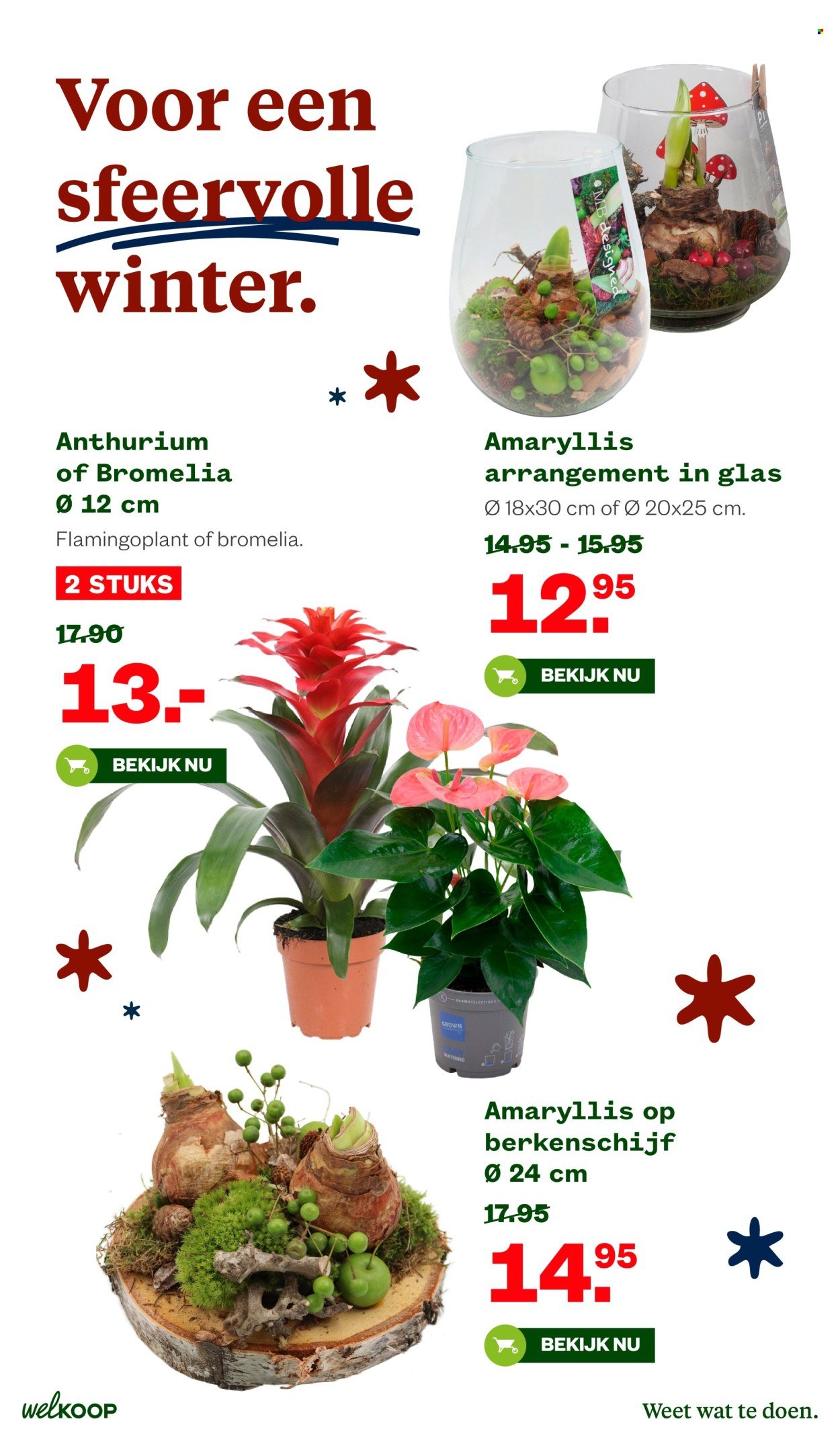 WELKOOP folder - Van maandag 20 oktober 2025 (2025-10-20 - 2025-11-09)