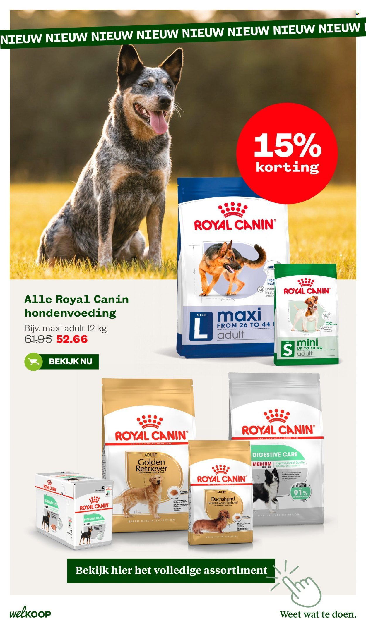 WELKOOP folder - Van maandag 20 oktober 2025 (2025-10-20 - 2025-11-09)