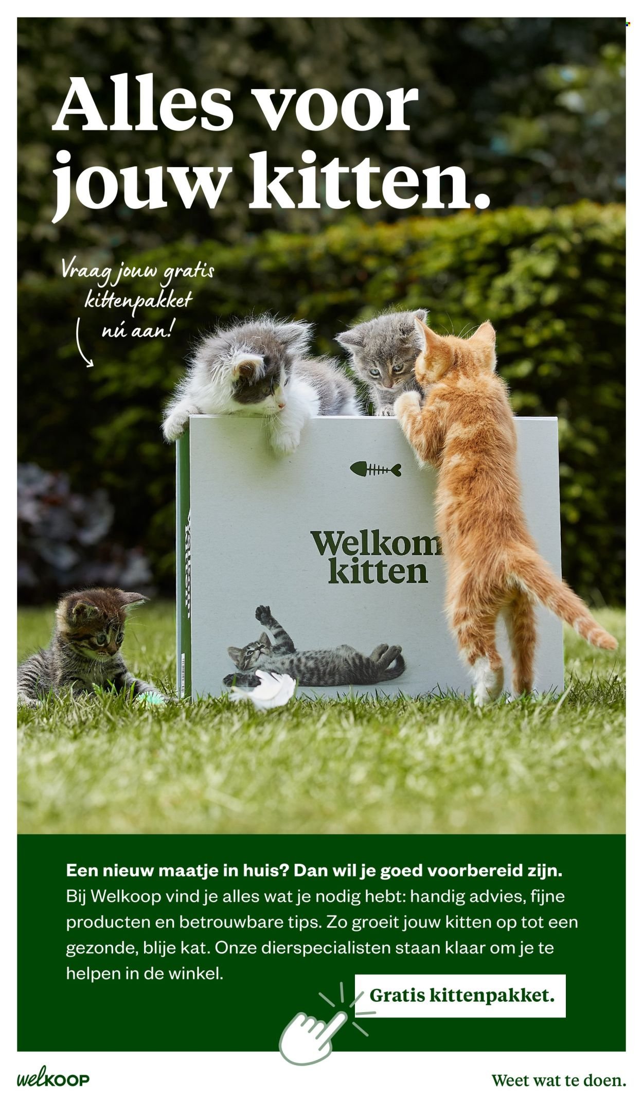 WELKOOP folder - Van maandag 20 oktober 2025 (2025-10-20 - 2025-11-09)