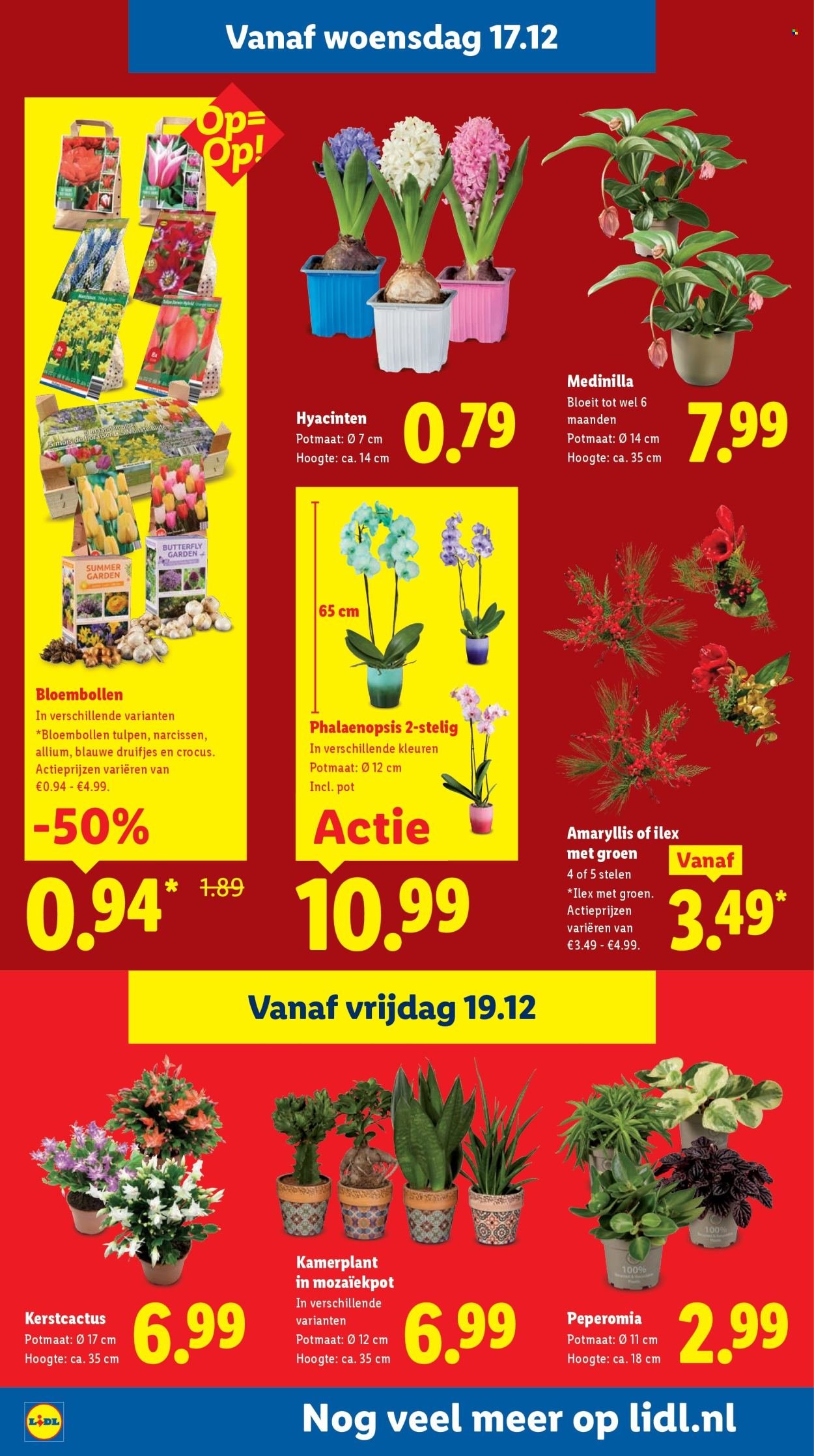 LIDL folder - Week 51 (2025-12-15 - 2025-12-21)
