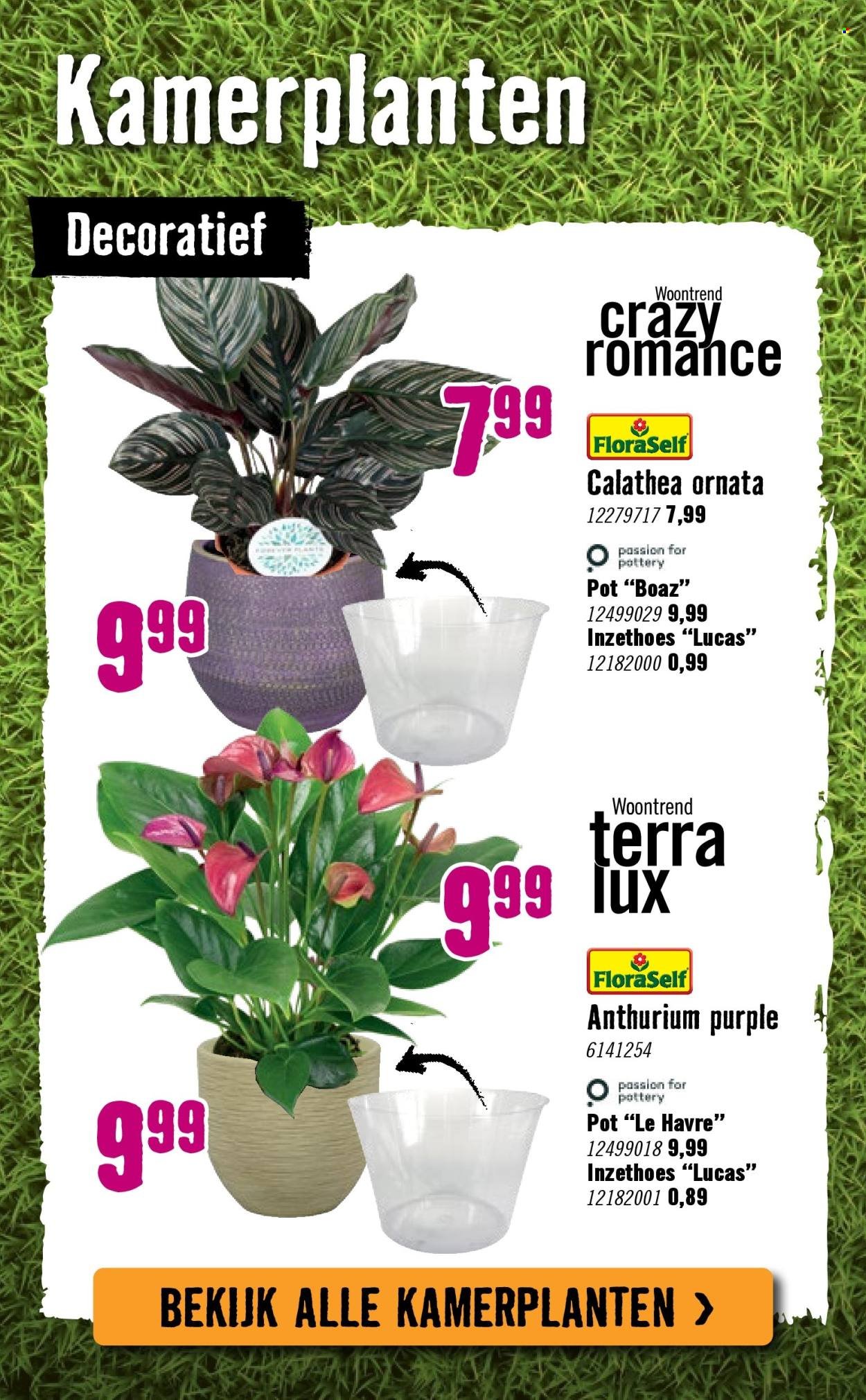 HORNBACH folder - Van maandag 29 september 2025 (2025-09-29 - 2025-10-26)