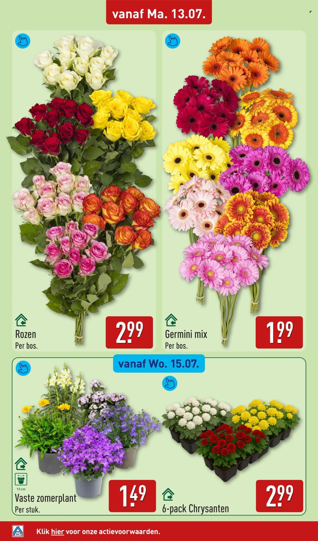 ALDI folder - Van maandag 13 juli 2026