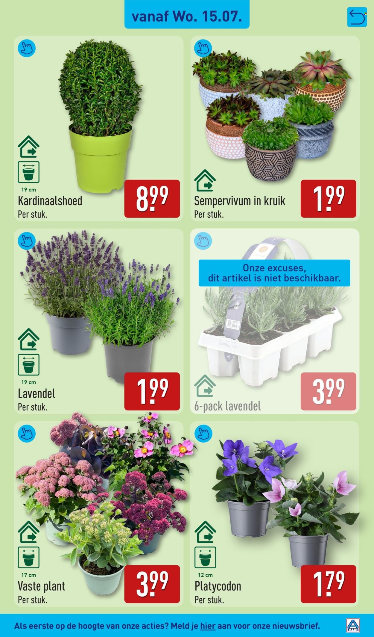 ALDI folder - Van maandag 13 juli 2026