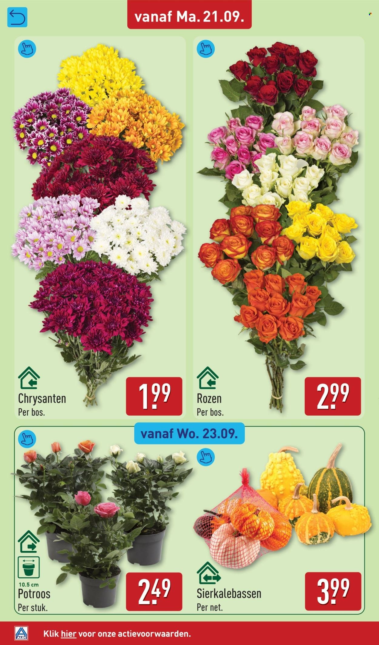 ALDI folder - Van maandag 21 september 2026