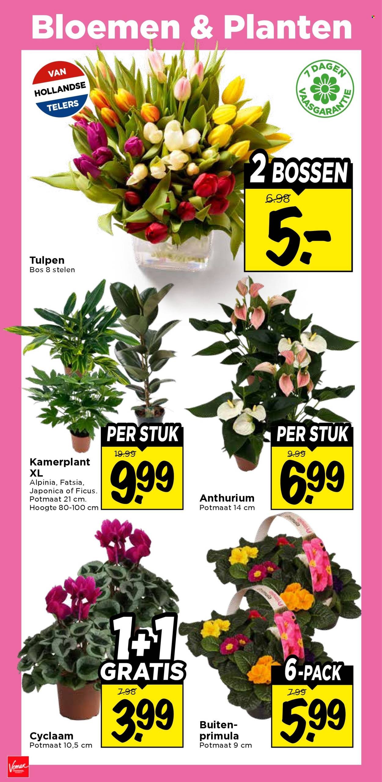 VOMAR folder - Van zondag 11 januari 2026