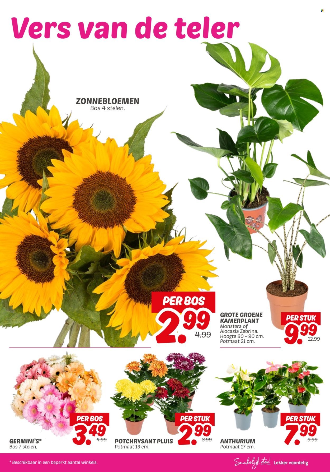 DEKAMARKT folder - Van dinsdag 23 september 2025 (2025-09-23 - 2025-09-29)