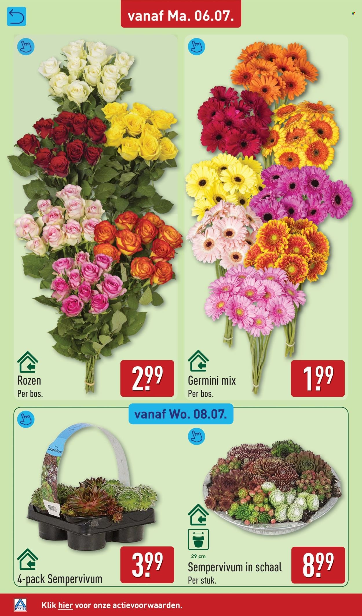 ALDI folder - Van maandag 6 juli 2026