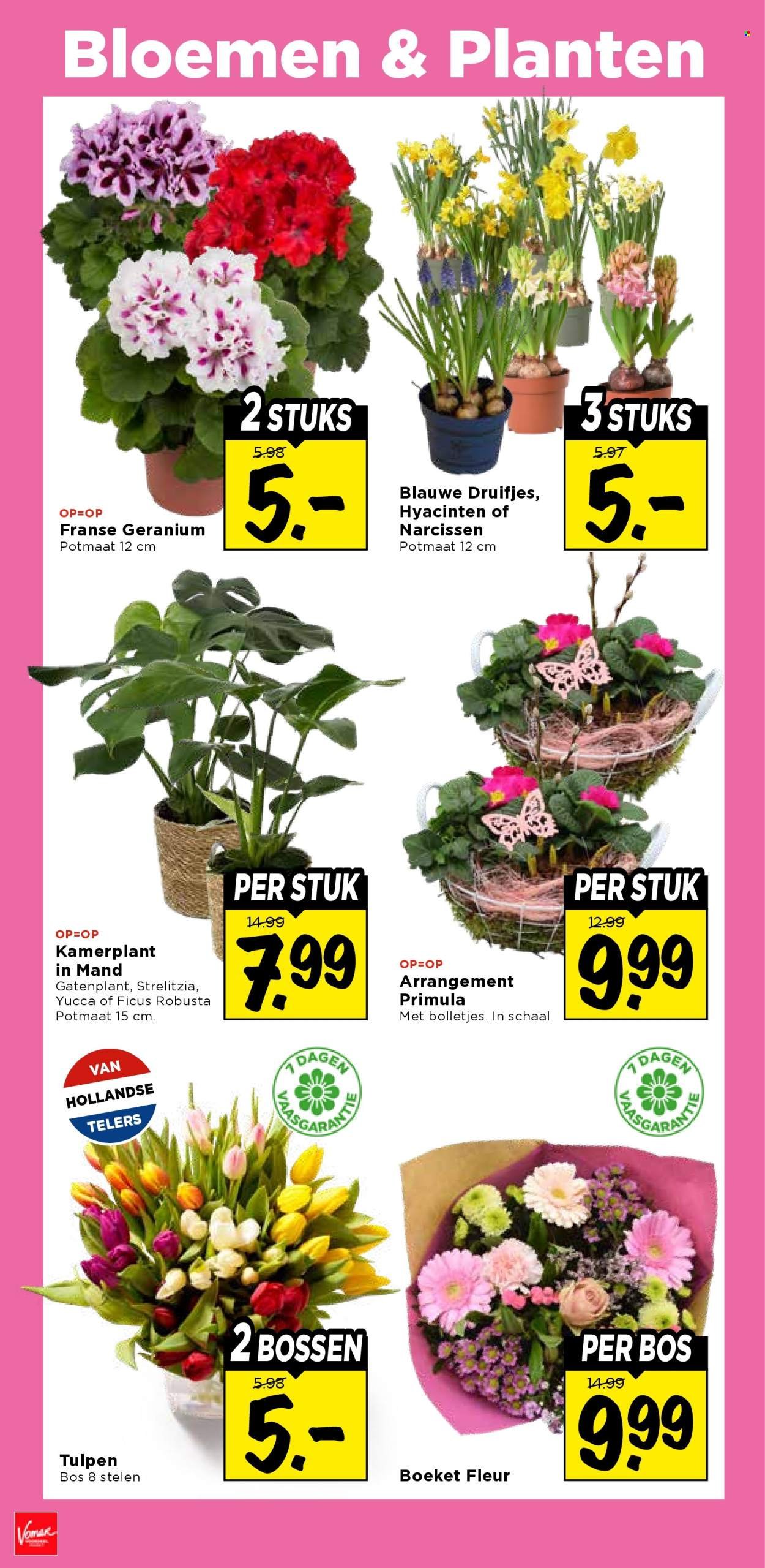 VOMAR folder - Van donderdag 19 februari 2026