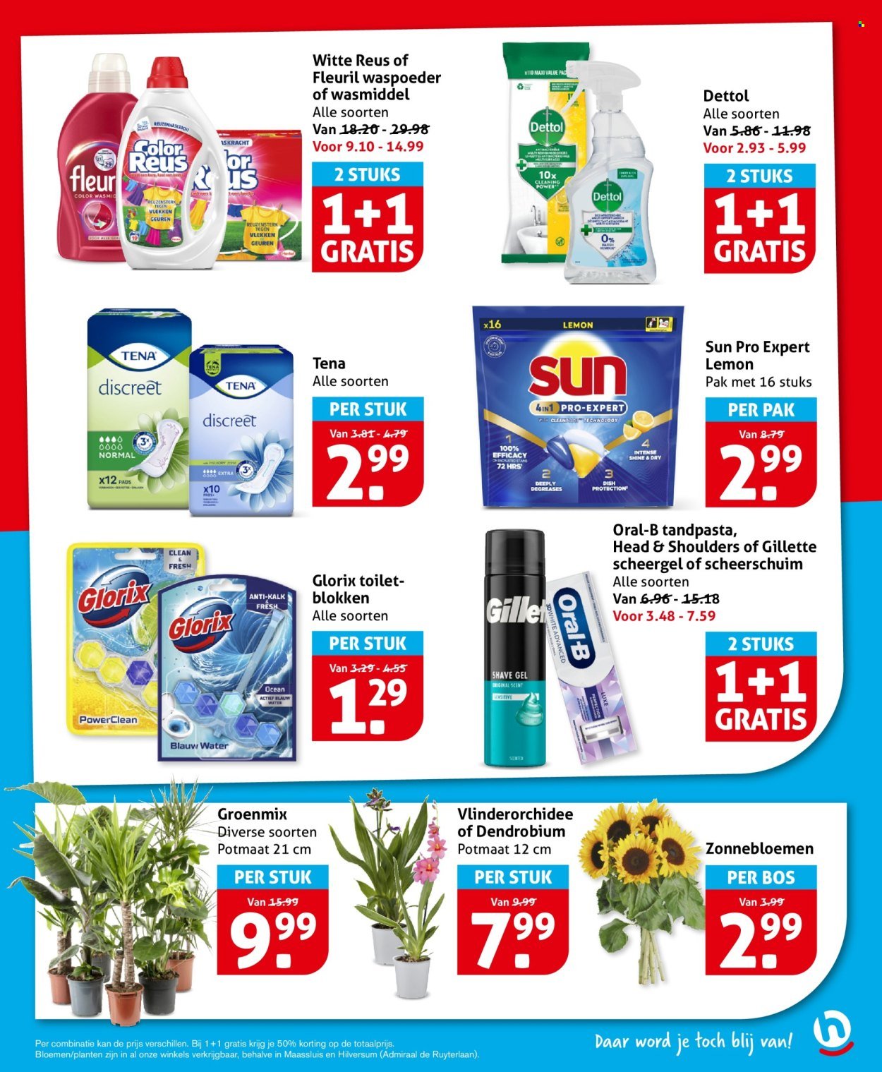 HOOGVLIET folder - Van woensdag 24 juni 2026