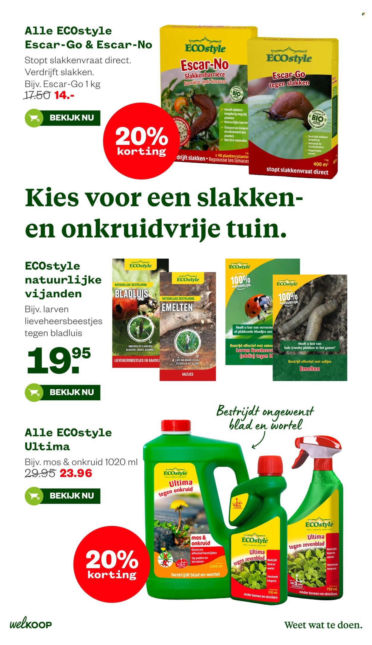 WELKOOP folder - Van maandag 11 mei 2026