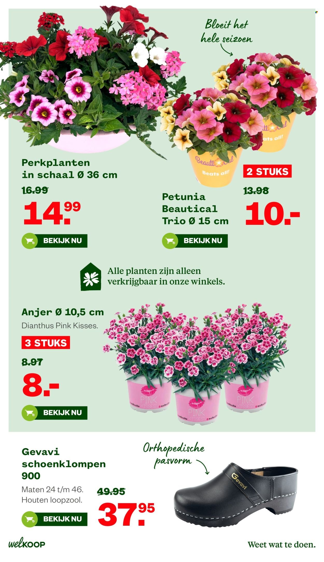WELKOOP folder - Van maandag 11 mei 2026