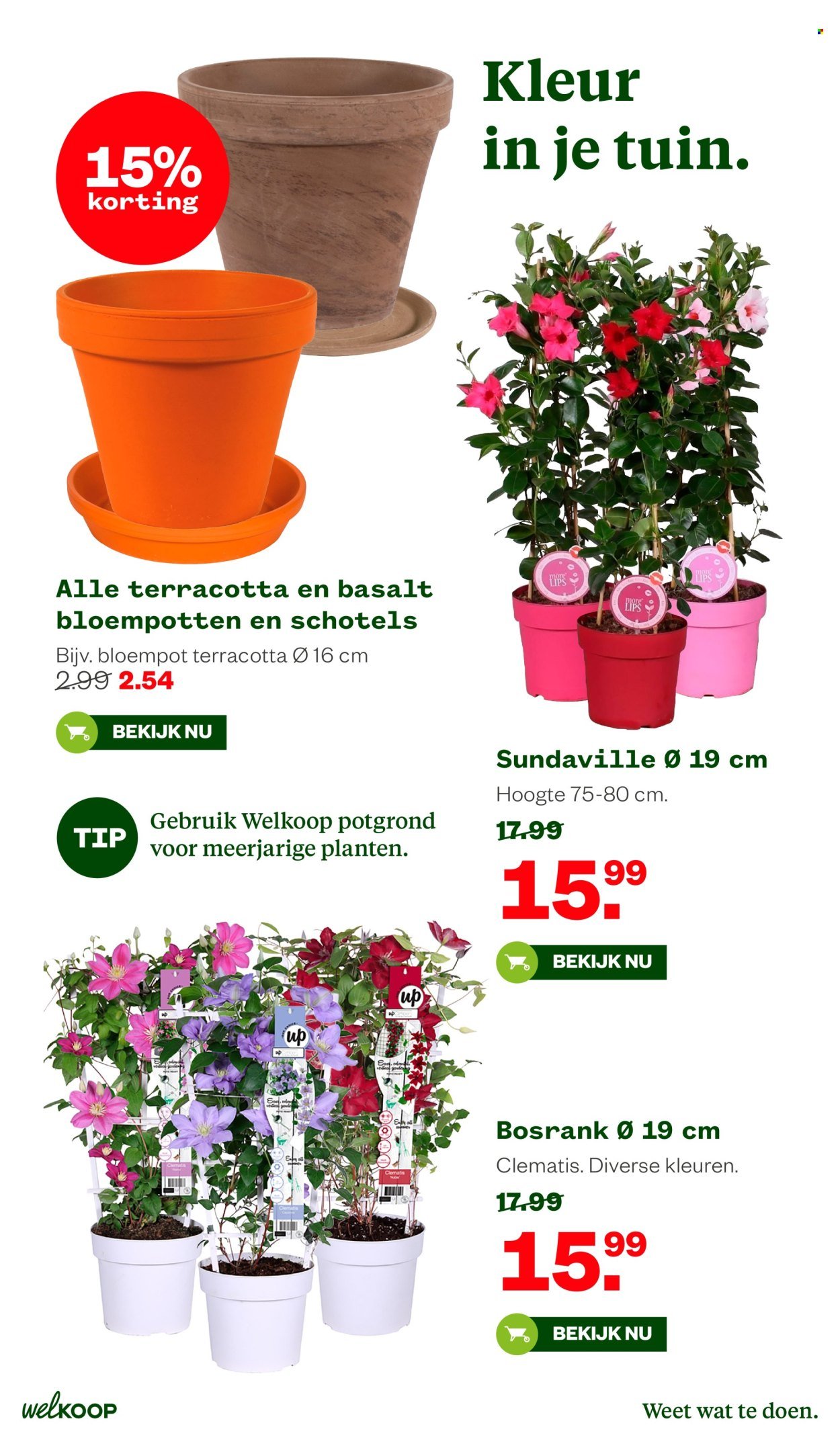 WELKOOP folder - Van maandag 11 mei 2026