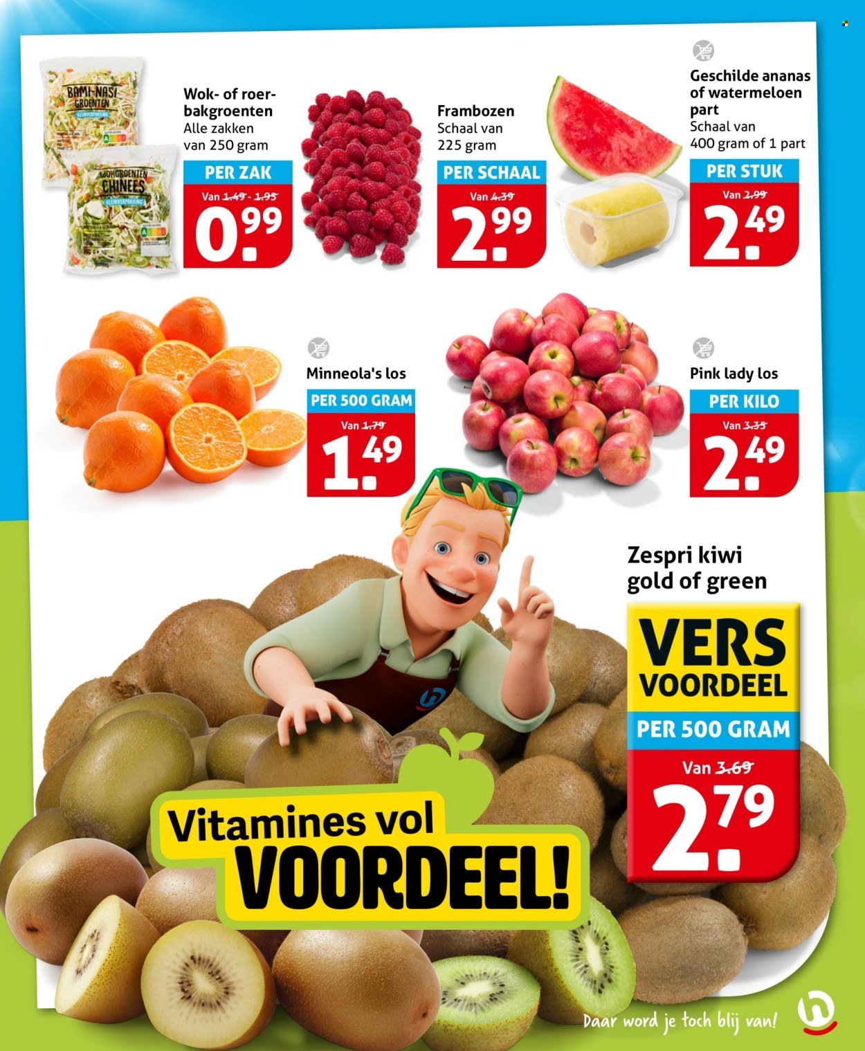 HOOGVLIET folder - Van woensdag 29 juli 2026