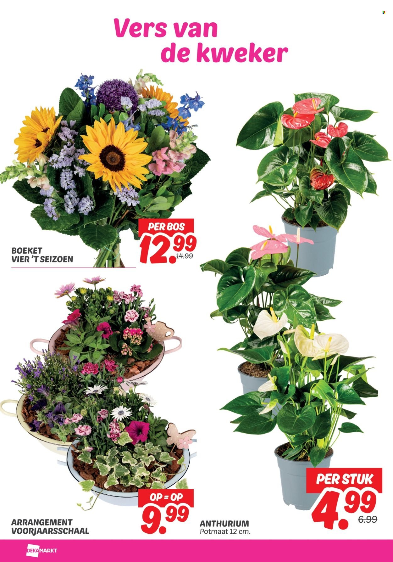 DEKAMARKT folder - Van dinsdag 14 april 2026 (2026-04-14 - 2026-04-20)