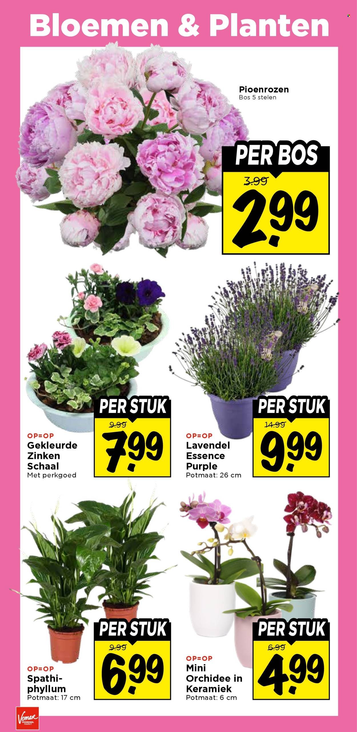 VOMAR folder - Van donderdag 11 juni 2026