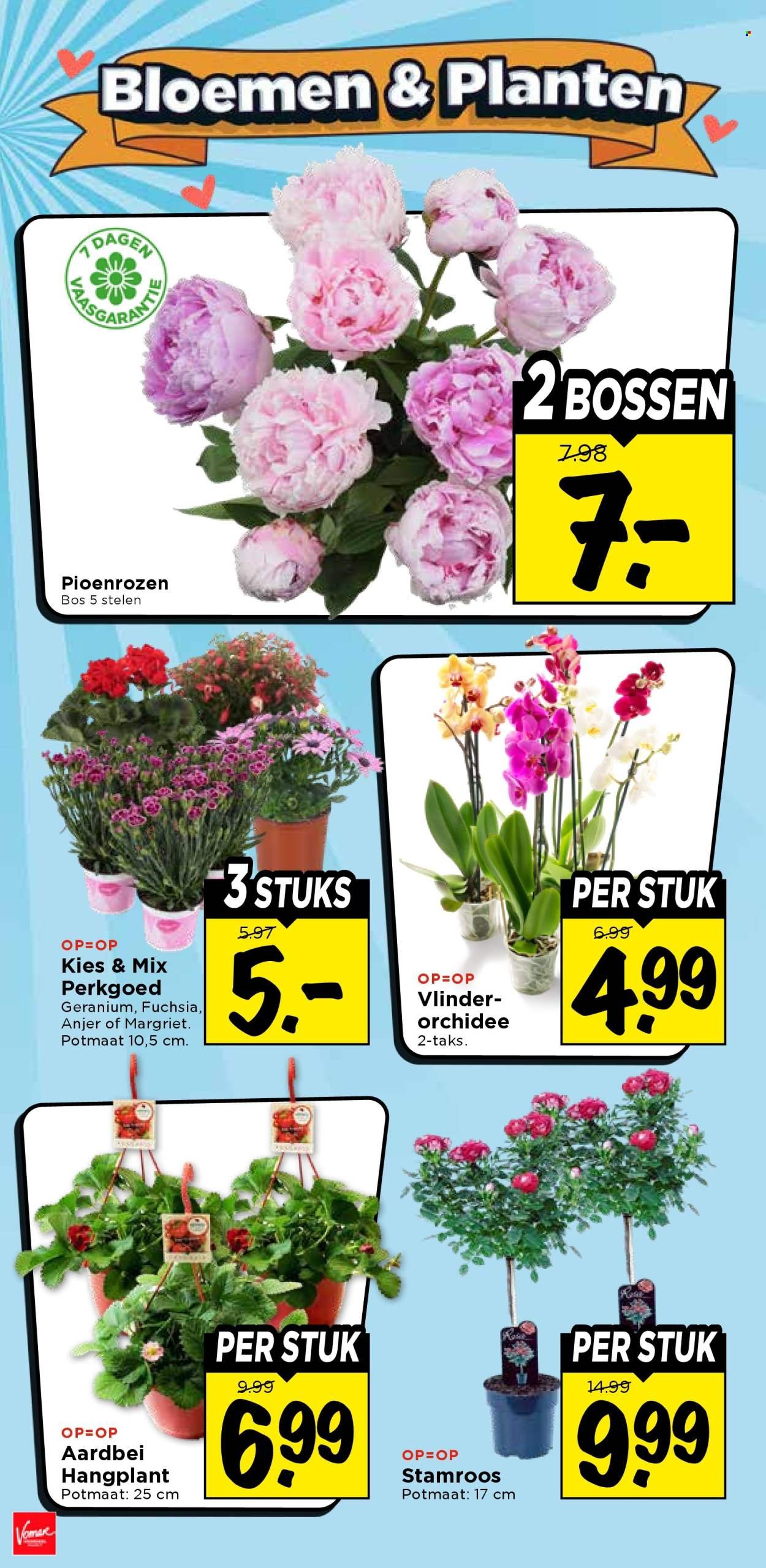VOMAR folder - Van zondag 31 mei 2026