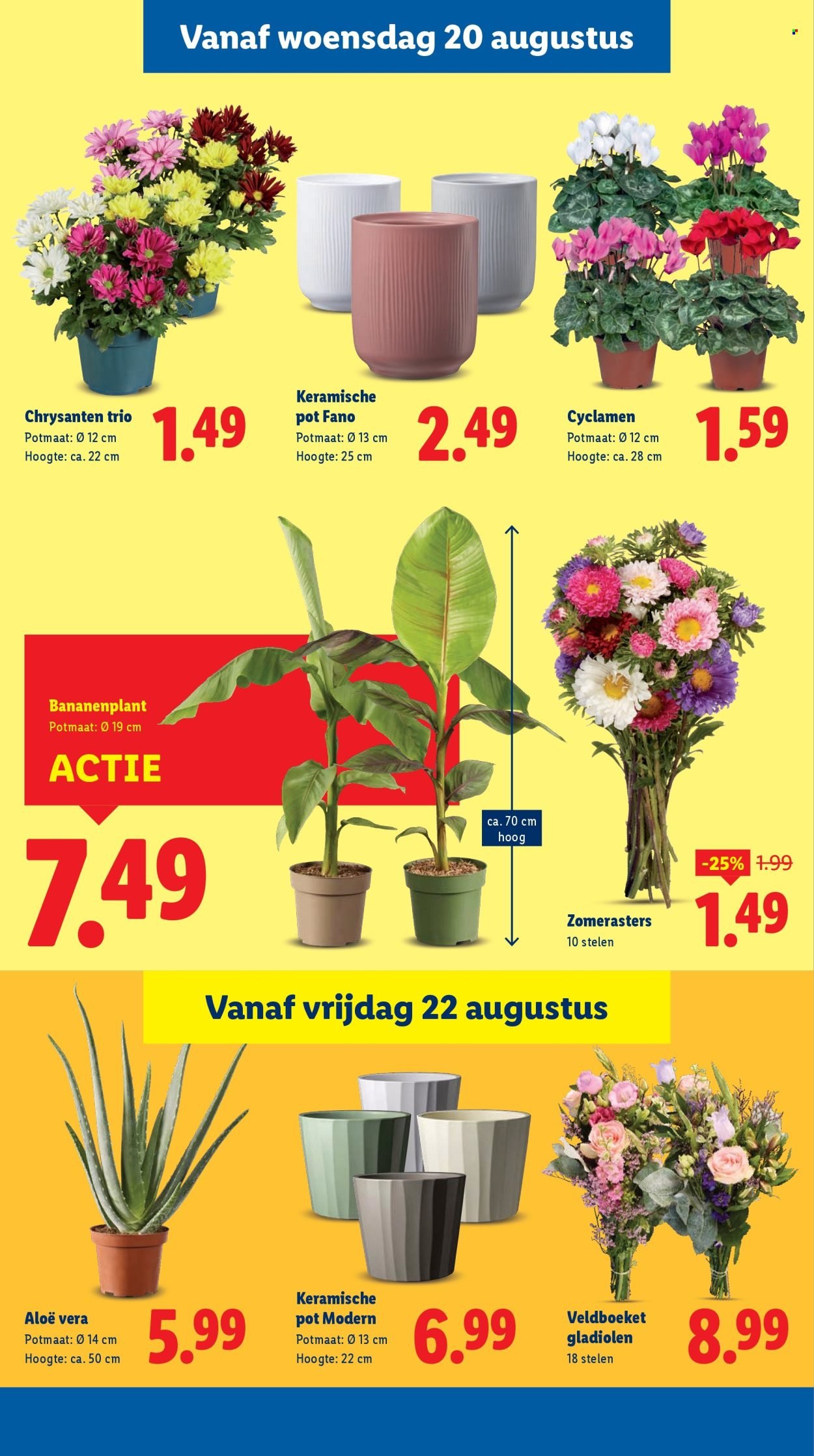 LIDL folder - Week 34 (2025-08-18 - 2025-08-24)