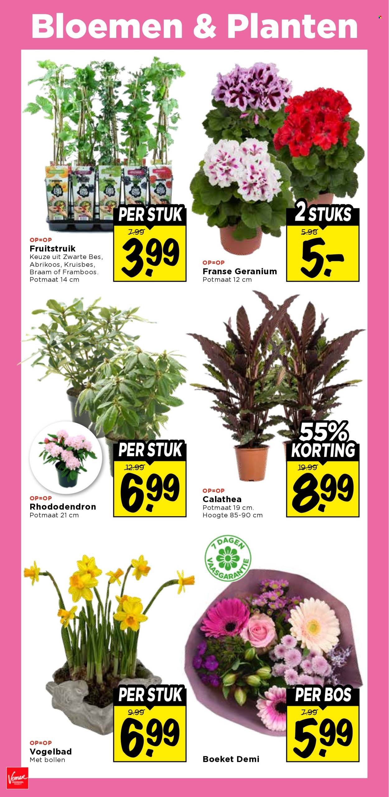 VOMAR folder - Van zondag 1 maart 2026