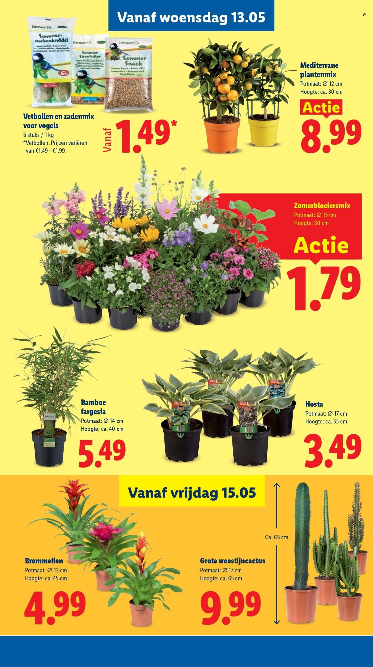 LIDL folder - Week 20
