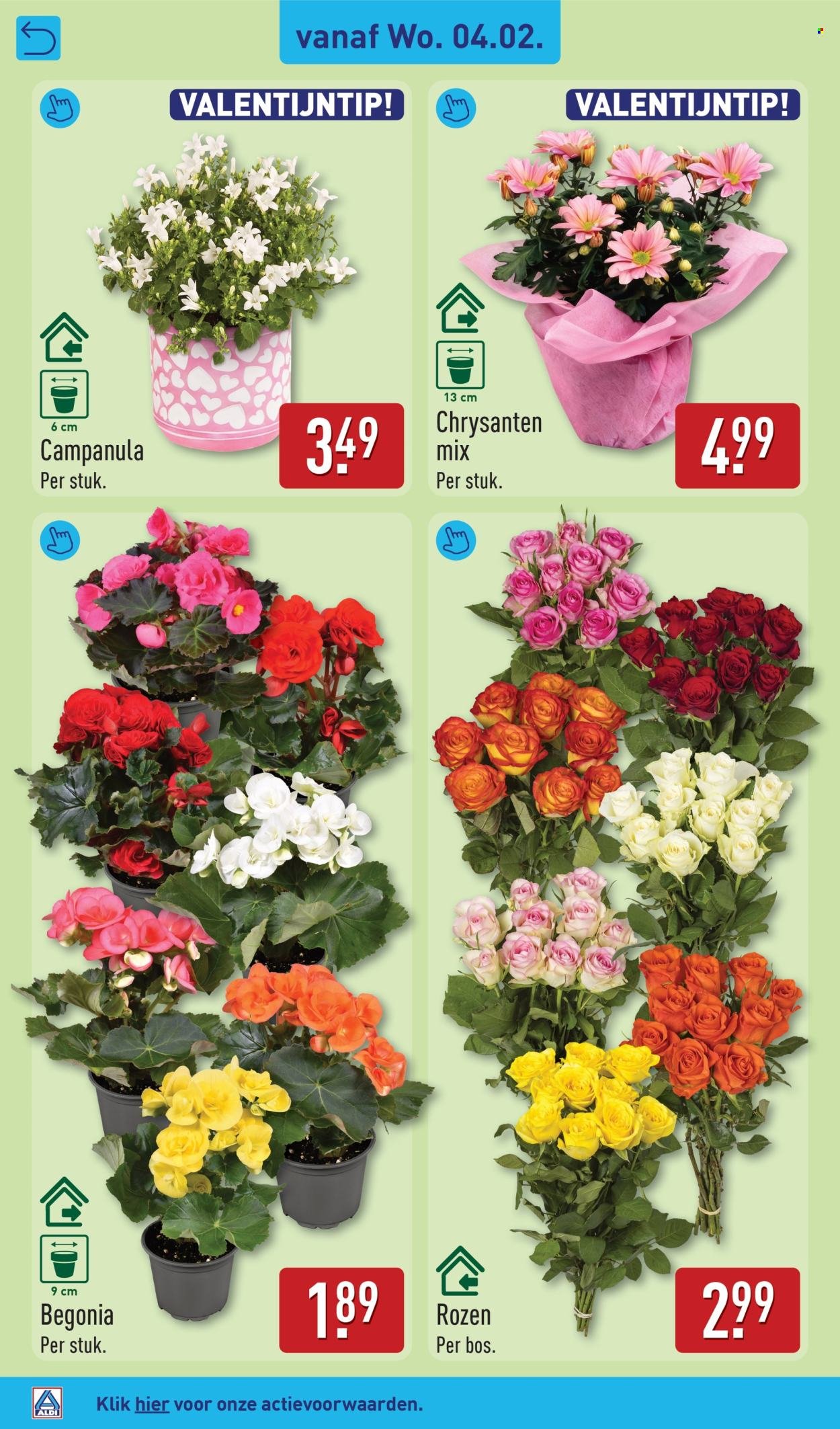 ALDI folder - Van maandag 2 februari 2026