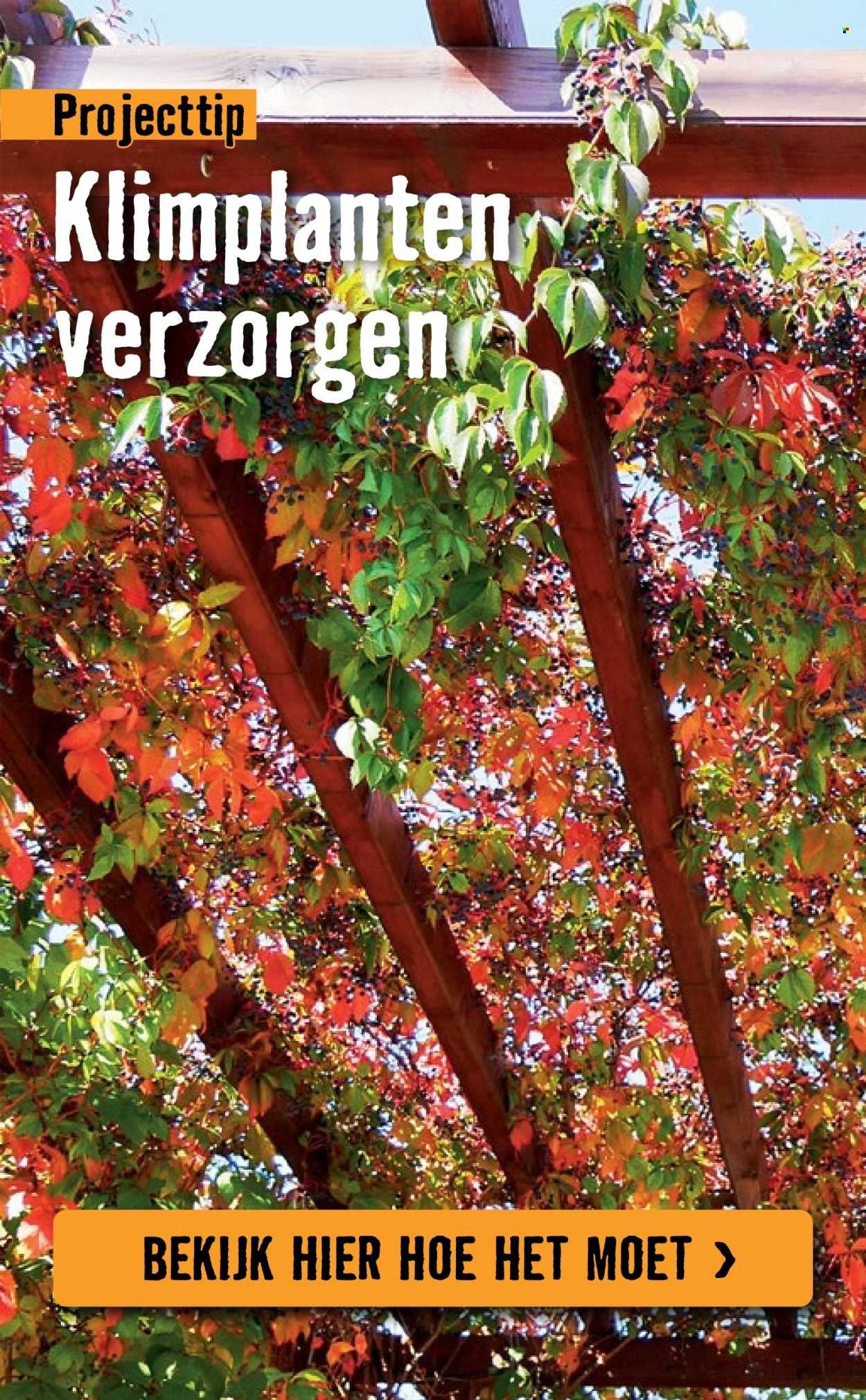 HORNBACH folder - Week 15