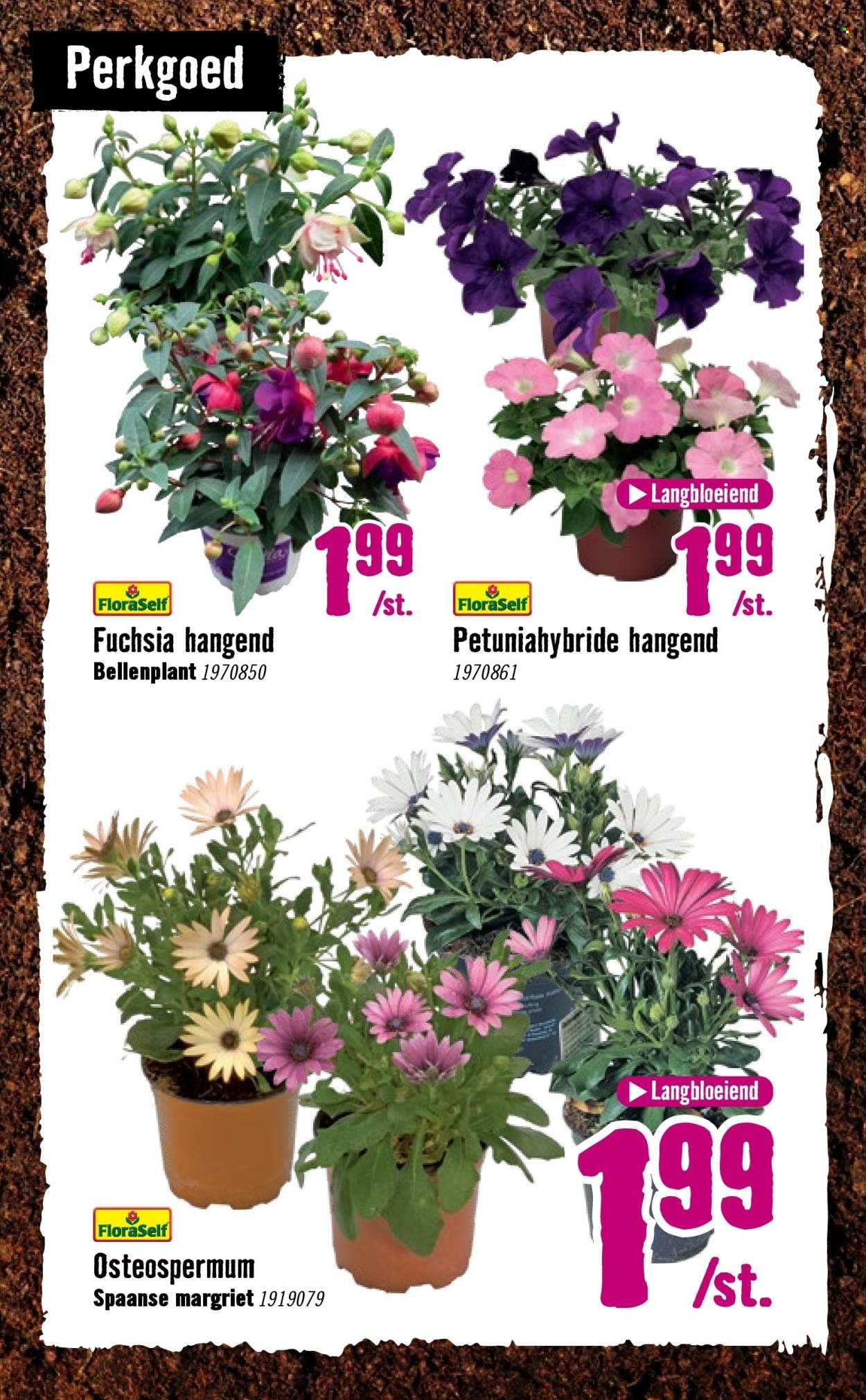 HORNBACH folder - Week 15