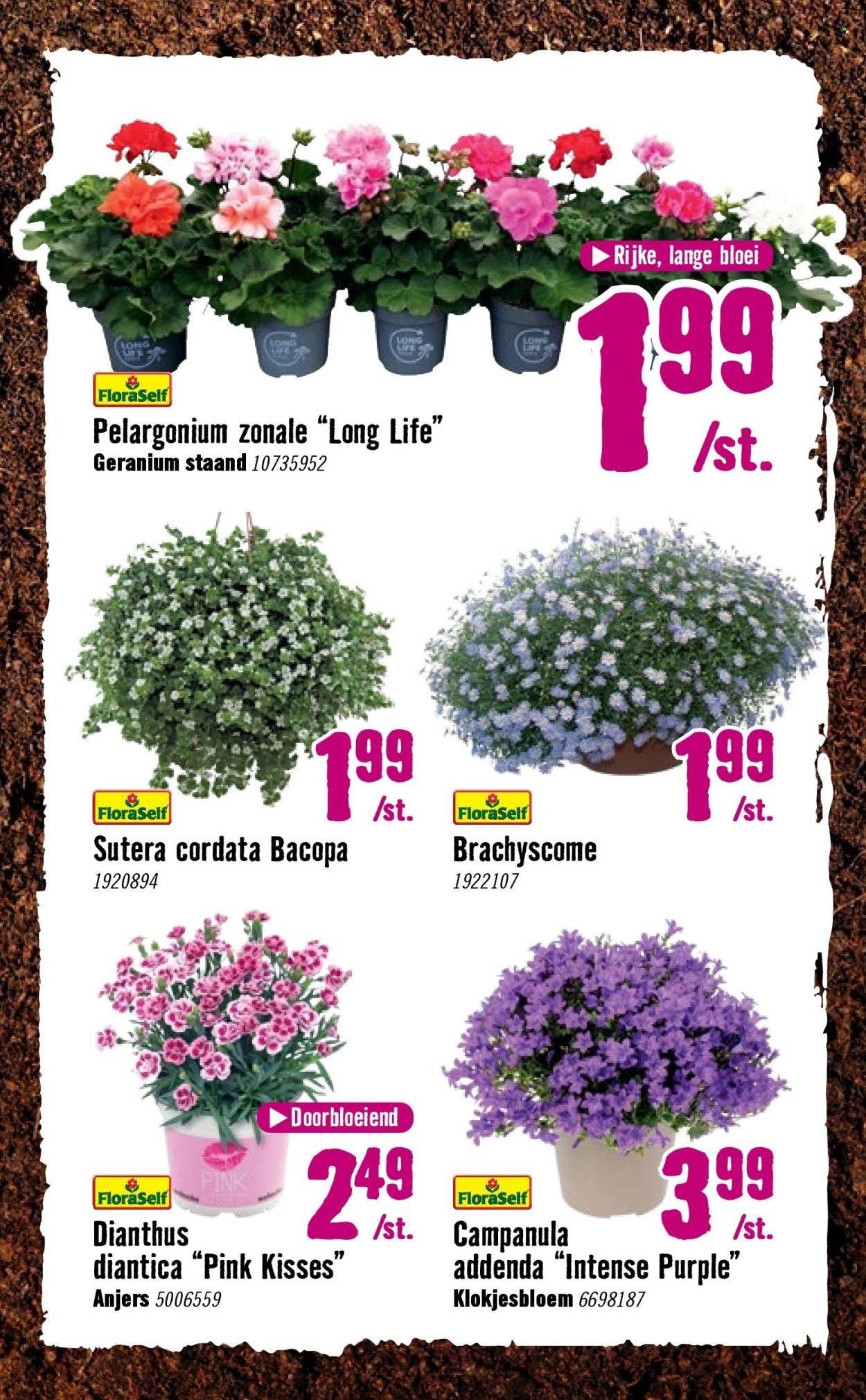 HORNBACH folder - Week 15