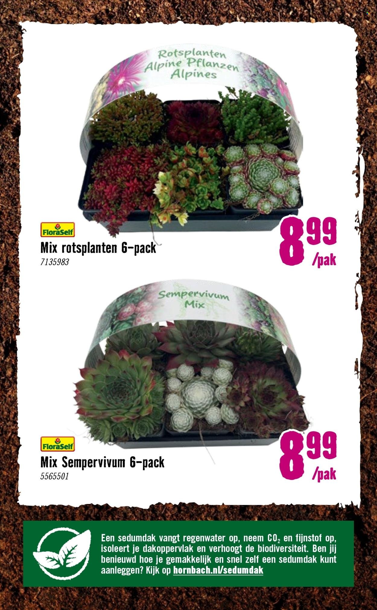 HORNBACH folder - Week 15