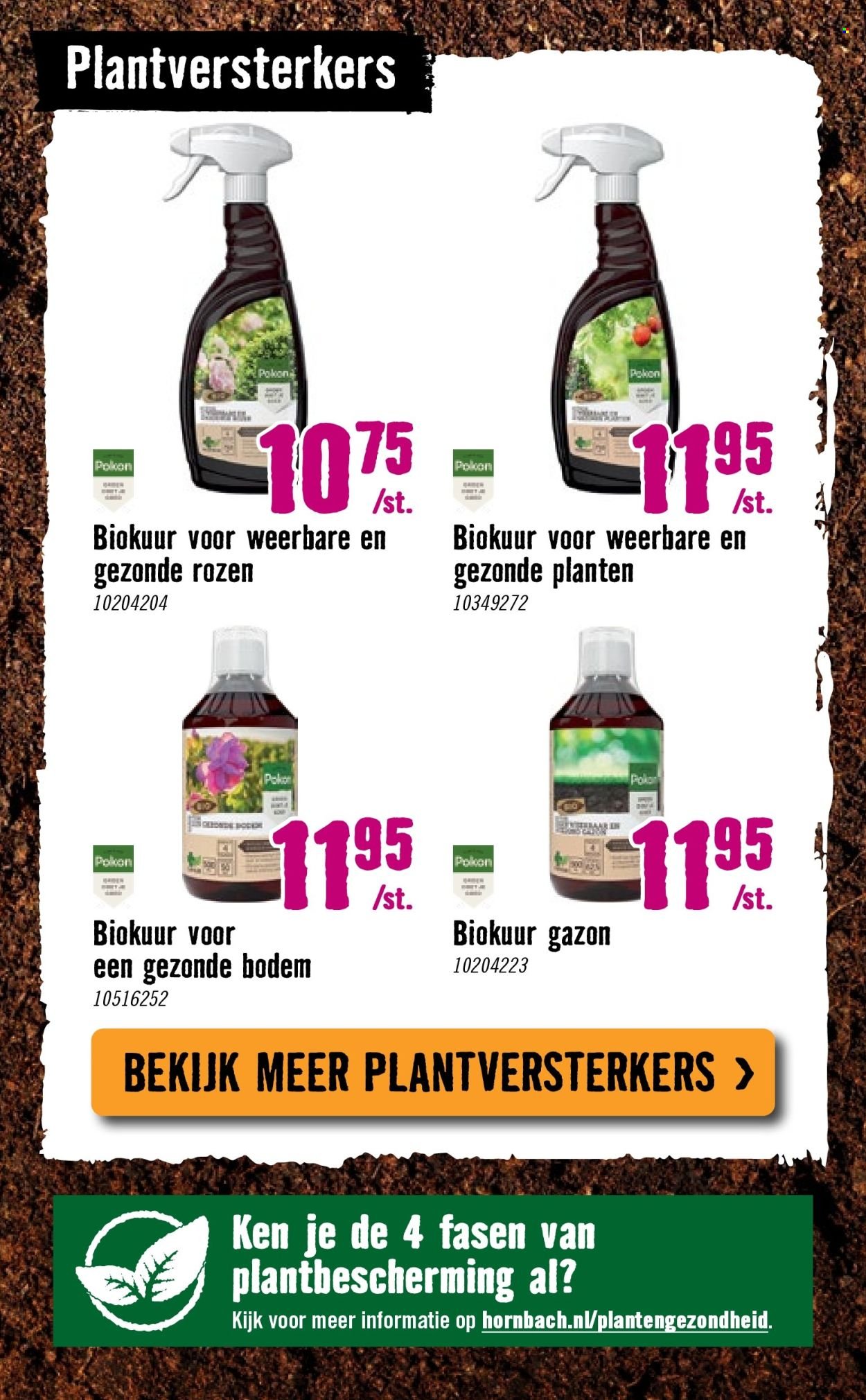 HORNBACH folder - Week 15