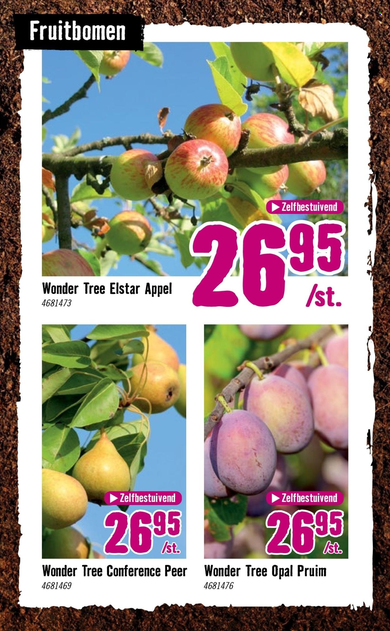 HORNBACH folder - Week 15