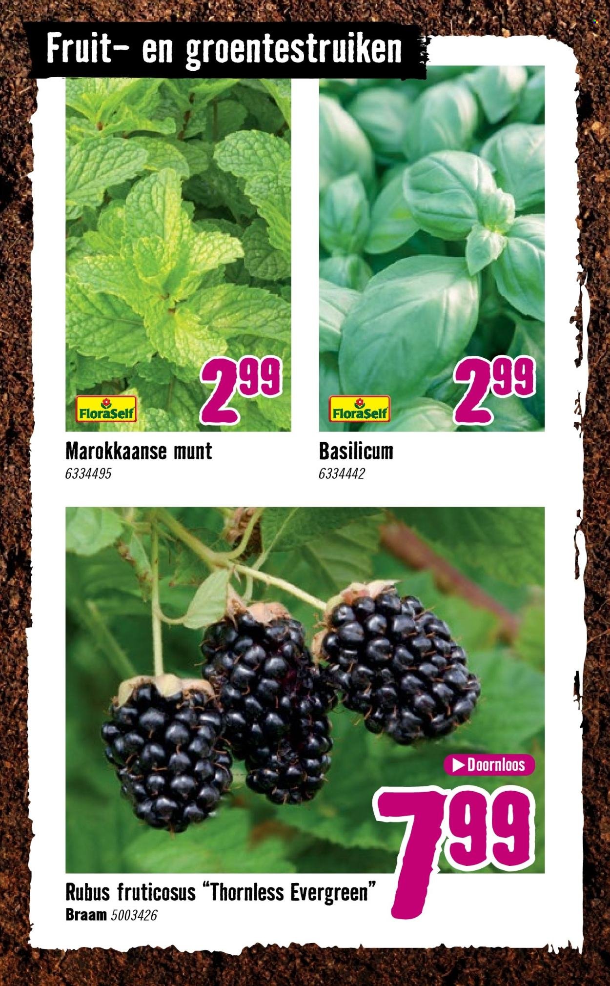 HORNBACH folder - Week 15 (2026-04-07 - 2026-05-03)