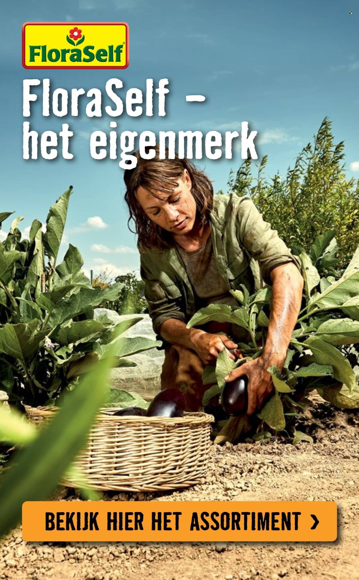 HORNBACH folder - Week 15 (2026-04-07 - 2026-05-03)