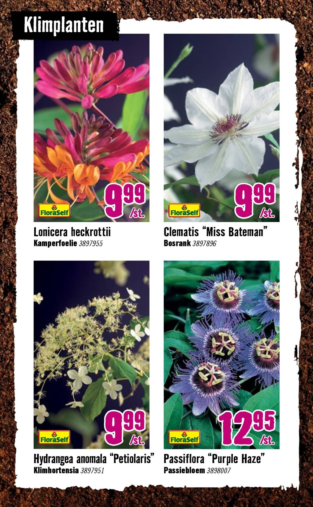 HORNBACH folder - Week 15 (2026-04-07 - 2026-05-03)