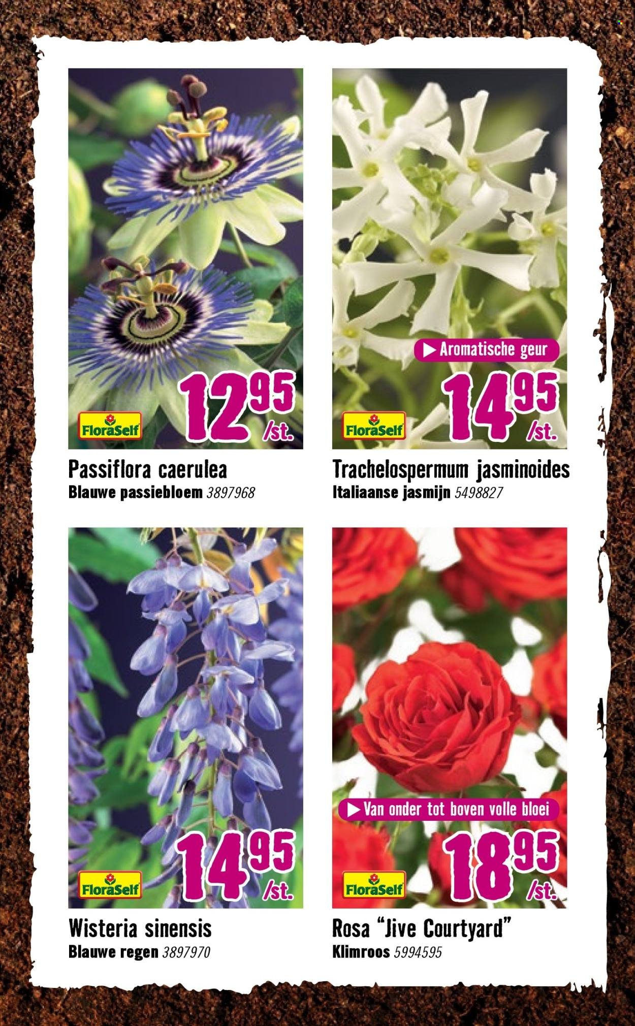 HORNBACH folder - Week 15 (2026-04-07 - 2026-05-03)