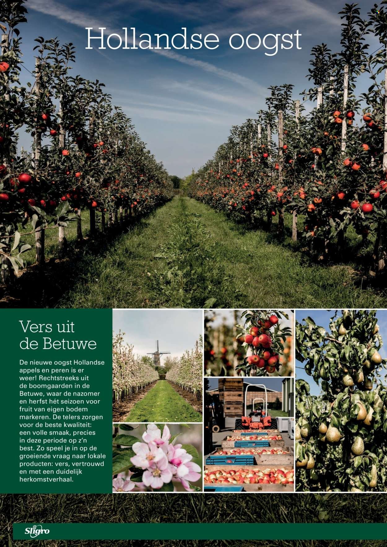 SLIGRO folder - Food (2025-09-18 - 2025-10-06)