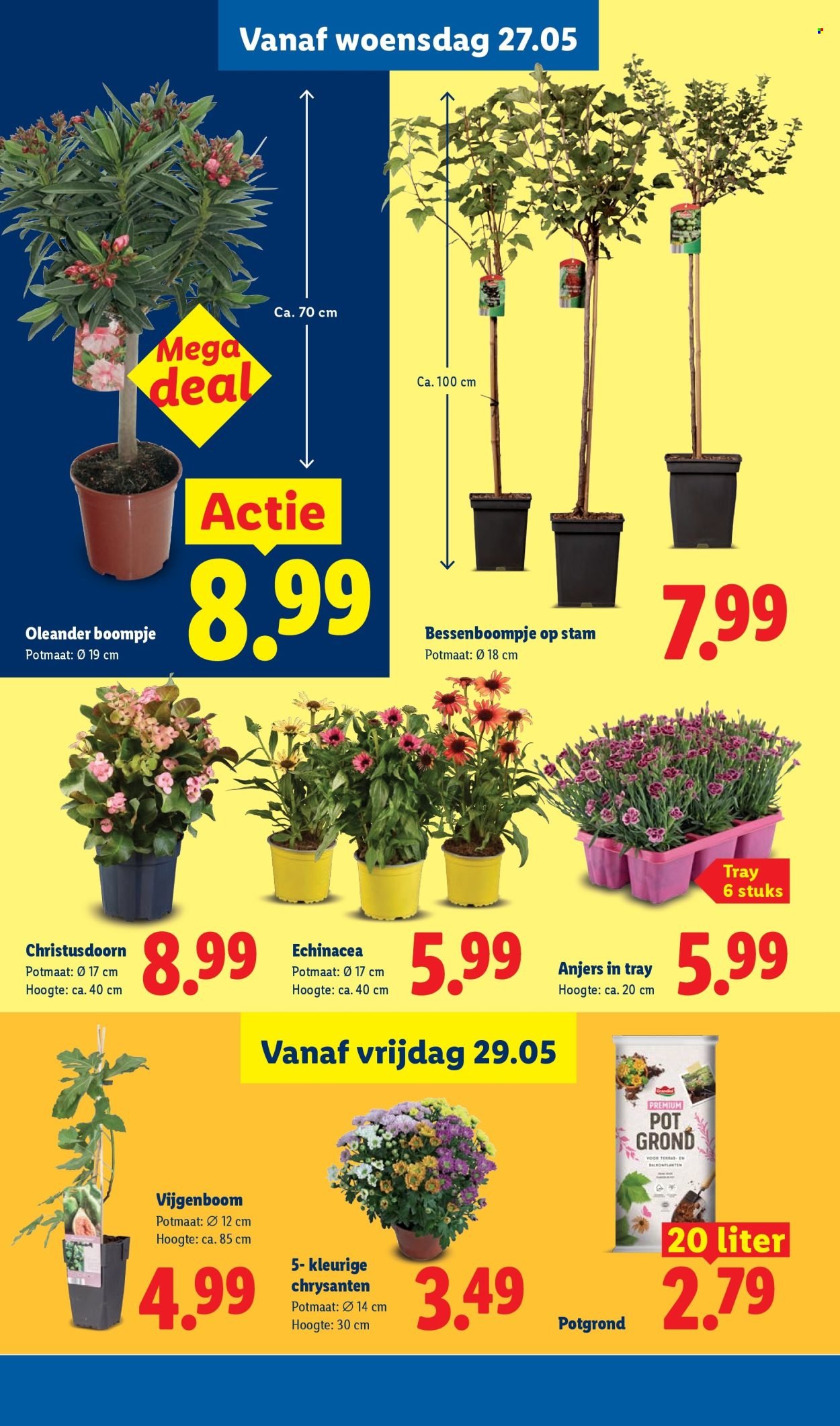 LIDL folder - Week 22 (2026-05-25 - 2026-05-31)